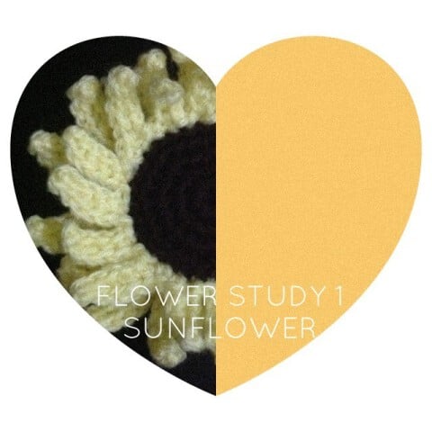 Flower Study 1 - Sunflower